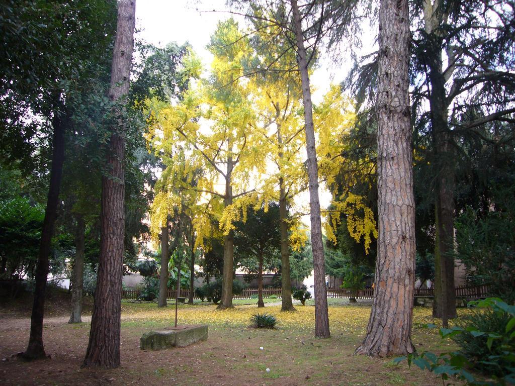 Villa Altieri 알바노라치알레 외부 사진