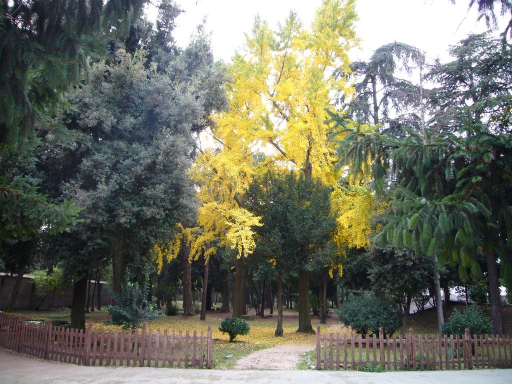Villa Altieri 알바노라치알레 외부 사진