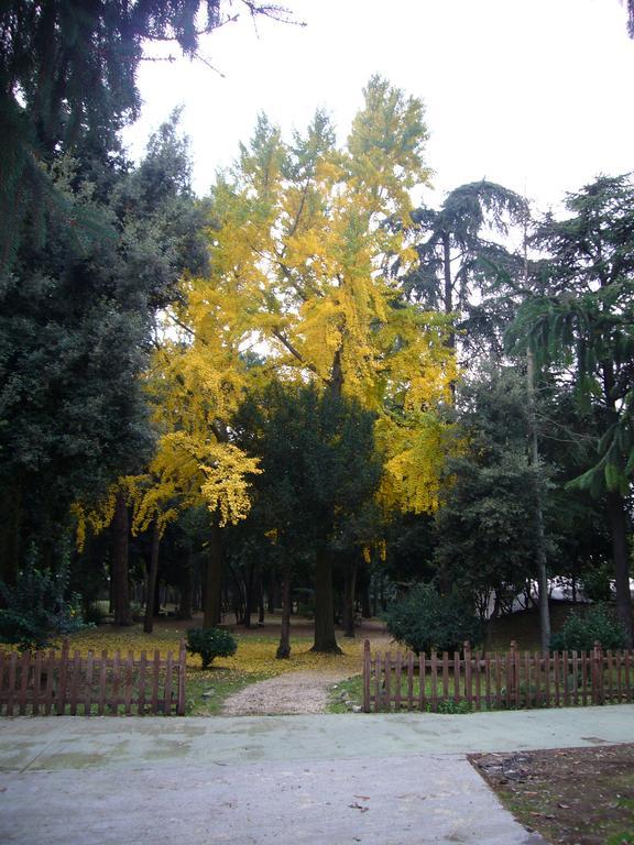 Villa Altieri 알바노라치알레 외부 사진